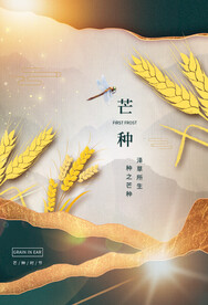 芒种海报素材