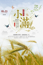 小满节气传统活动宣传海报素材