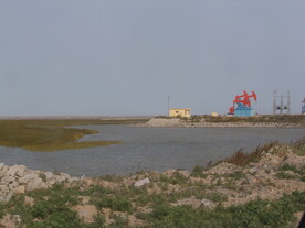 湿地旁的油井
