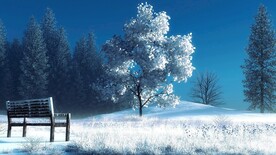 雪景