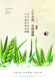 小满节气传统活动海报素材