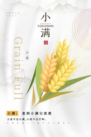 小满节气传统活动宣传海报素材