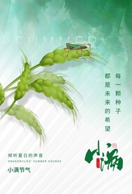 小满节气传统活动海报素材
