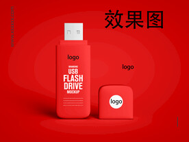 USB驱动器样机