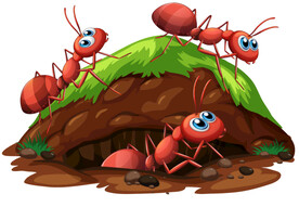 卡通手绘可爱红蚂蚁