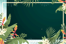 手绘植物背景
