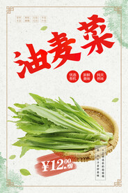 油麦菜