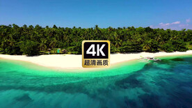 航拍素材由近及远海滩树林