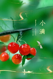 小满节气传统活动宣传海报素材