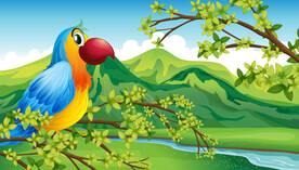 卡通鹦鹉