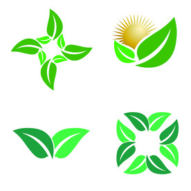 叶子标志图案