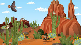 蛇 雄鹰 小鸟 仙人掌插画