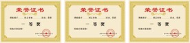 个人荣誉证书 奖状