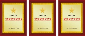 荣誉证书封面 牌匾
