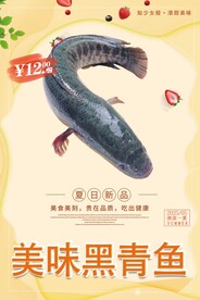 黑青鱼