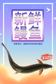 鳗鱼