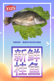 桂鱼