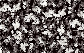 数码印花