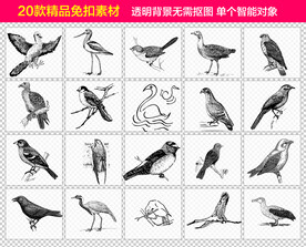 飞鸟免抠素材