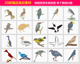 飞鸟免抠素材