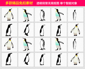 企鹅免抠素材