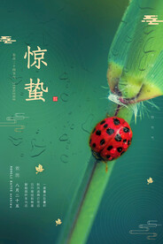 简约微凉昆虫植物惊蛰节气海报