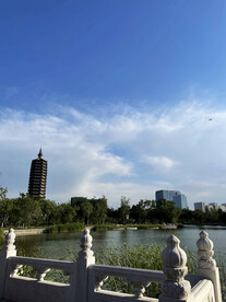 城市公园