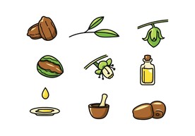 手绘橄榄油图片