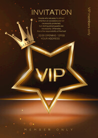 VIP海报 