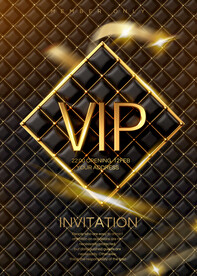 VIP海报 