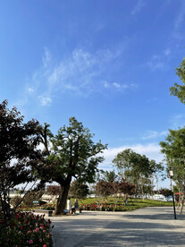 城市公园