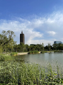 城市公园