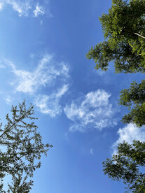 天空树