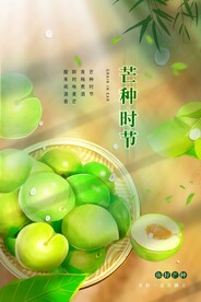芒种节气传统活动宣传海报素材