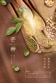 芒种节气传统活动宣传海报素材