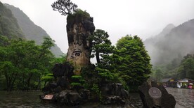 20210522刘菊华重庆