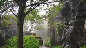 万盛石林