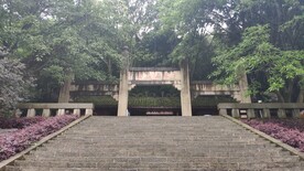 万盛石林