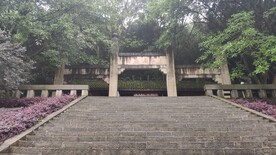 万盛石林