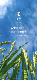 节气日海报