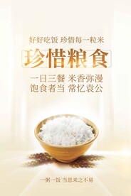 珍惜粮食公益活动宣传海报素材