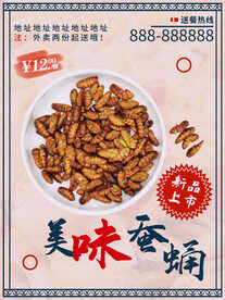 蚕蛹