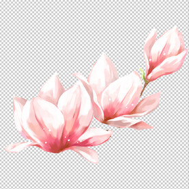花瓣