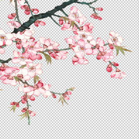 花瓣