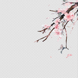 花瓣