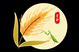 端午粽子手绘
