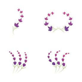 鲜花图片