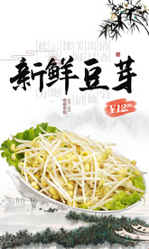 豆芽