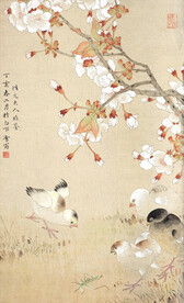 花鸟
