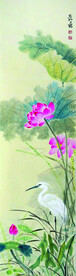 花鸟